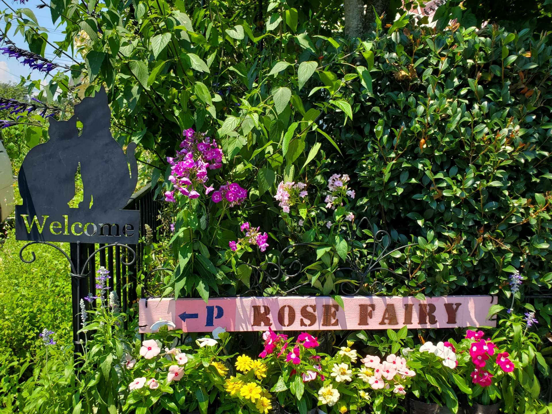 Rose Fairy